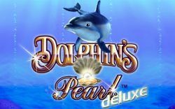 Dolphins Pearl Deluxe